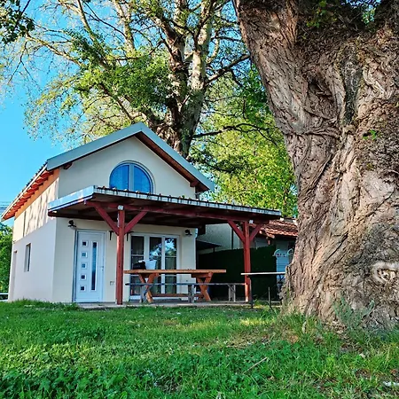Dadula Na Dunavu